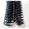 Espirales de plástico Combo de 50 tiras Negro 1"