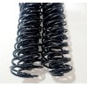 Espirales de plástico Combo de 50 tiras Negro 1"