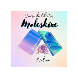 Curso online Moleskine envió gratis